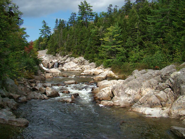 Fundy National Park, New Brunswick, Canada